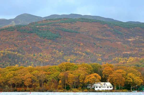 Pień obraz Loch Lomond, Szkocja — Zdjęcie stockowe