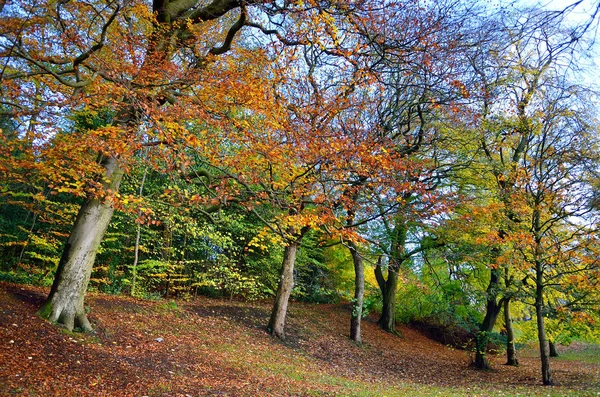 Kelvingrove Park - Glasgow, Skottland – stockfoto