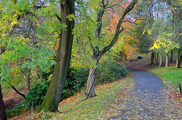 Келвінгроув парк - Глазго, Шотландія — стокове фото
