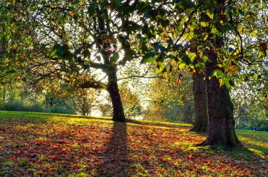 Nefes kesici manzara panoramik Londra cityscape St. Regents park güzel Primrose Hill görüldü
