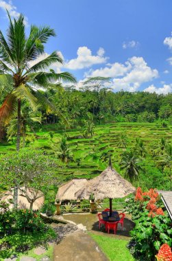Ubud palace, Bali, Endonezya