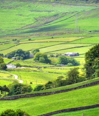 Mancheste yakınındaki Peak district, klasik İngiliz manzara
