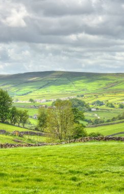 Mancheste yakınındaki Peak district, klasik İngiliz manzara