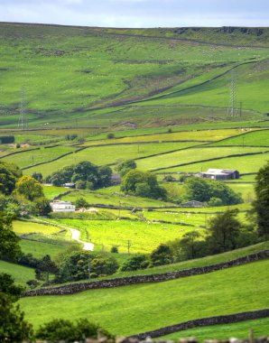 Mancheste yakınındaki Peak district, klasik İngiliz manzara