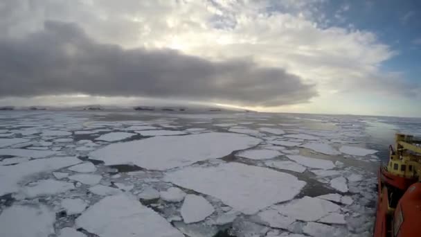 Glace Flottant Sur Eau Réfléchissant Les Nuages Antarctique — Video
