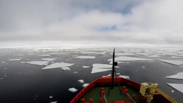 Glace Flottant Sur Eau Réfléchissant Les Nuages Antarctique — Video