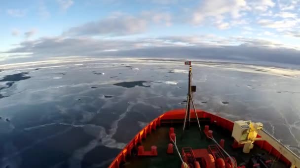 Glace Flottant Sur Eau Réfléchissant Les Nuages Antarctique — Video