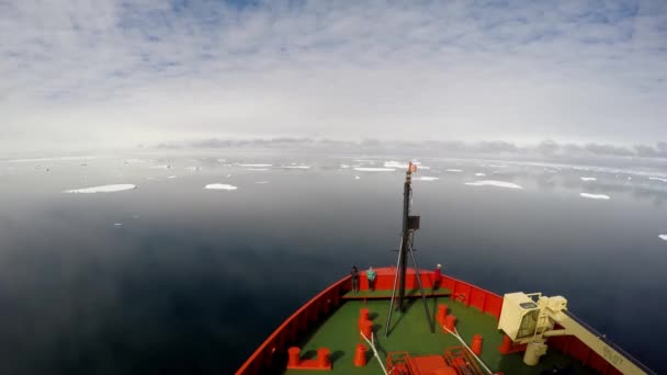 Glace Flottant Sur Eau Réfléchissant Les Nuages Antarctique — Video