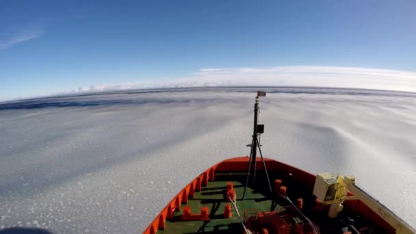 Glace Flottant Sur Eau Réfléchissant Les Nuages Antarctique — Video