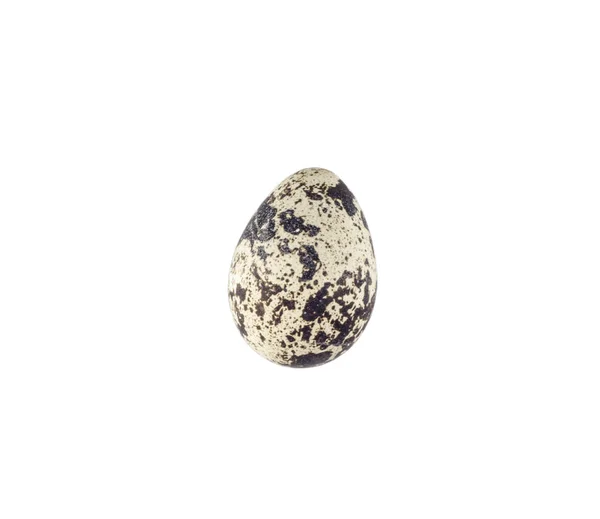 Перепелиное яйцо на белом фоне — стоковое фото