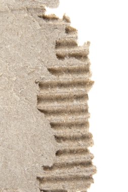 Beyaz arka plan üzerinde izole yırtık karton