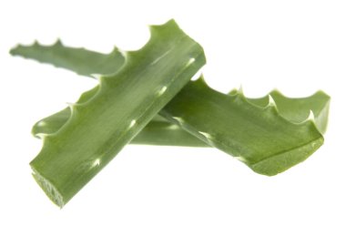 Aloe beyaz arkaplanda izole edildi