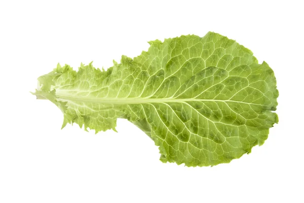 Hoja de lechuga aislada sobre fondo blanco — Foto de Stock