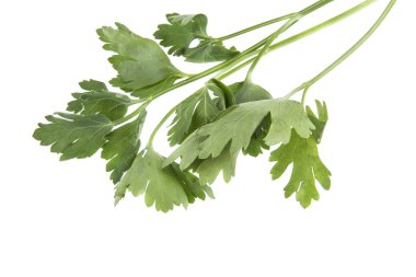 Maydanoz beyaz arkaplanda izole