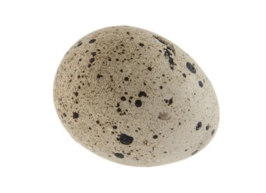 Beyaz arka planda izole edilmiş bıldırcın yumurtası.