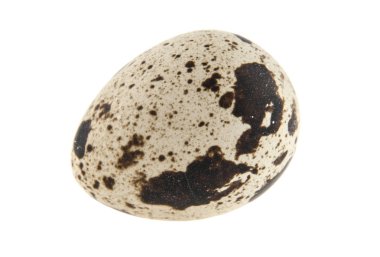 Beyaz arka planda izole edilmiş bıldırcın yumurtası.