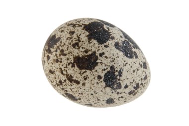Beyaz arka planda izole edilmiş bıldırcın yumurtası.