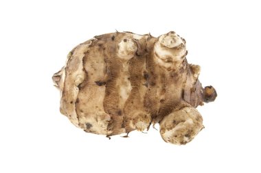 Beyaz arka plan üzerinde izole kök, elması