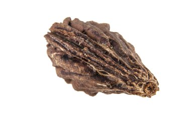 Beyaz arka plan üzerinde izole şeftali kemik