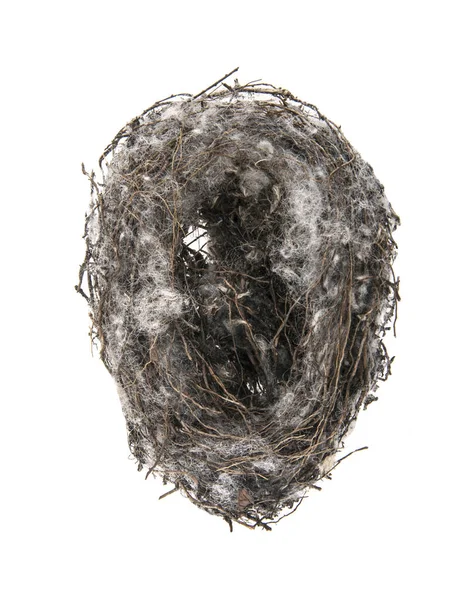 Птичье гнездо на белом фоне — стоковое фото