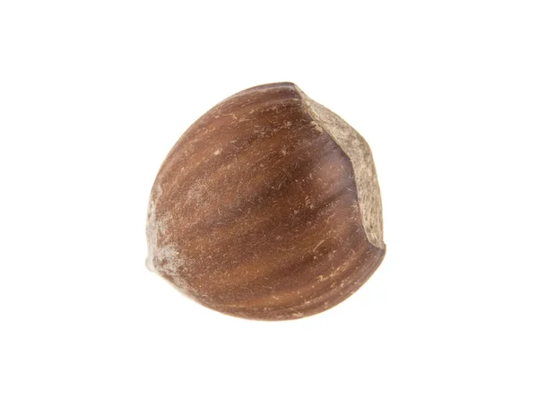 Hazelnut изолированы на белом фоне — стоковое фото