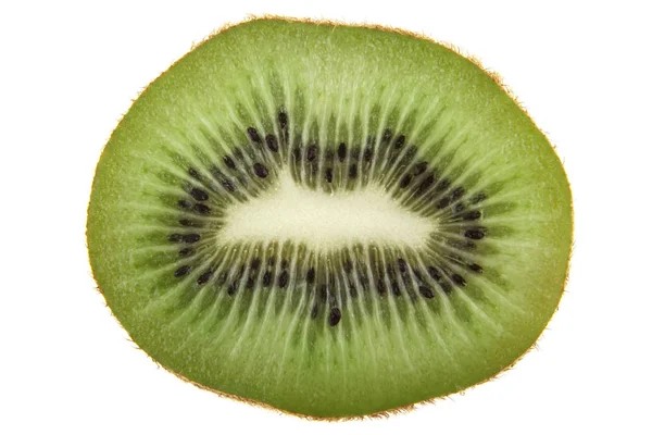 Kiwi isoliert auf weißem Hintergrund — Stockfoto