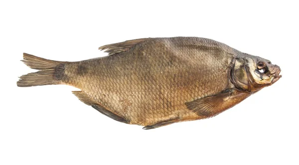 白色背景上孤立的烟熏鳊鱼 — 图库照片