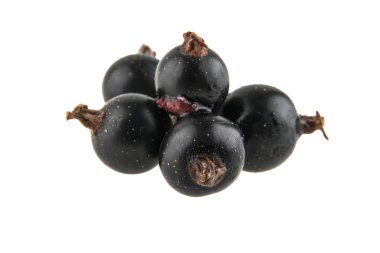 Beyaz arkaplanda siyah frenk üzümü izole edildi