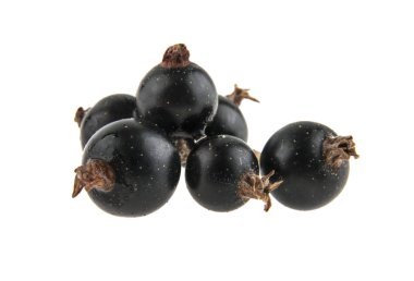 Beyaz arkaplanda siyah frenk üzümü izole edildi