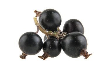 Beyaz arkaplanda siyah frenk üzümü izole edildi