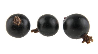 Beyaz arkaplanda siyah frenk üzümü izole edildi