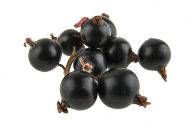 Beyaz arkaplanda siyah frenk üzümü izole edildi