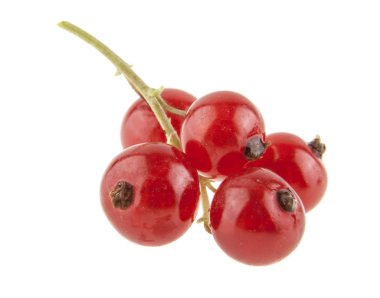 Beyaz arkaplanda kırmızı frenk üzümü izole edildi