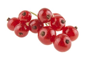 Beyaz arkaplanda kırmızı frenk üzümü izole edildi