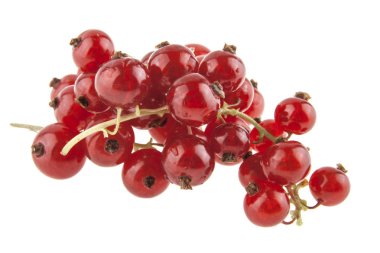 Beyaz arkaplanda kırmızı frenk üzümü izole edildi