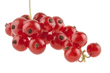 Beyaz arkaplanda kırmızı frenk üzümü izole edildi