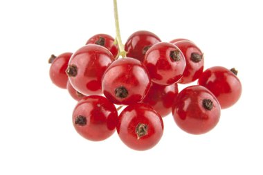 Beyaz arkaplanda kırmızı frenk üzümü izole edildi