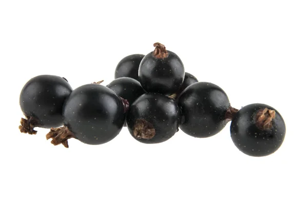 Black currant isolated on white background — Stock Photo, Image