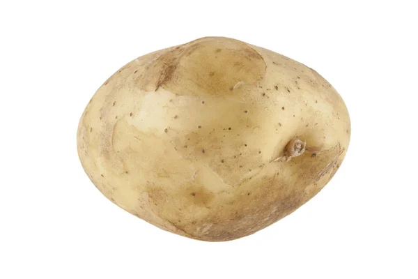 Beyaz bir arka plan üzerinde izole genç, çiğ patates — Stok fotoğraf
