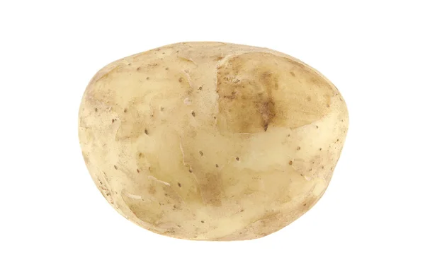 Beyaz bir arka plan üzerinde izole genç, çiğ patates — Stok fotoğraf