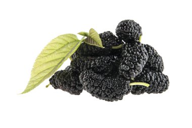 Dut beyaz arkaplanda izole edilmiş