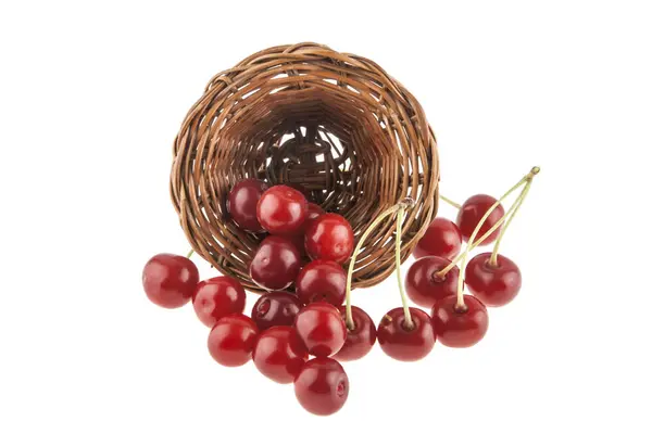 Cerises dans un panier en osier isolé sur fond blanc — Photo