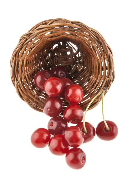 Cerises dans un panier en osier isolé sur fond blanc — Photo