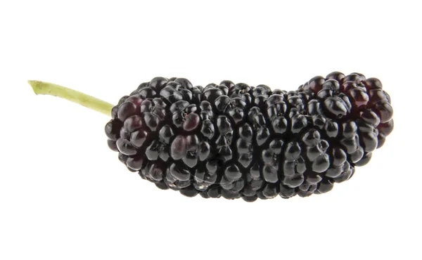 Mulberry isolated on white background — Stock Photo, Image