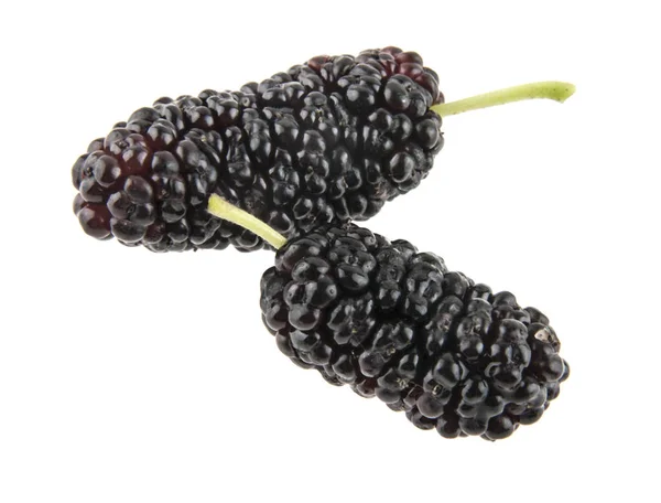 Dut beyaz arkaplanda izole edilmiş