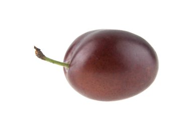 Beyaz arkaplanda erik izole edildi