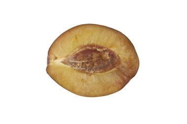 Beyaz arkaplanda erik izole edildi