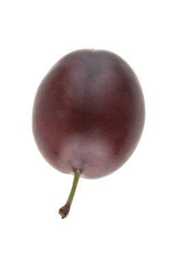 Beyaz arkaplanda erik izole edildi