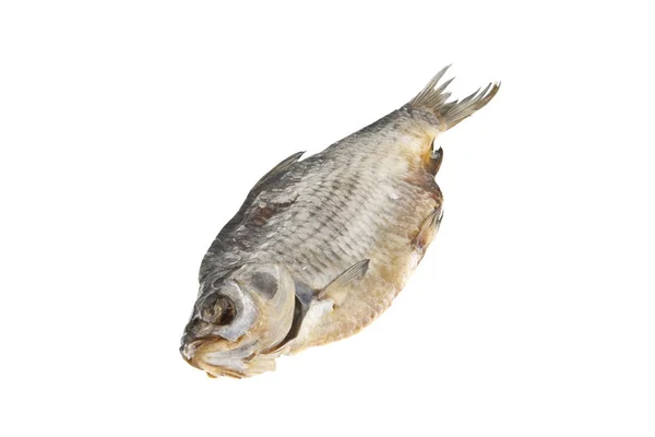 Fisch für Bier isoliert auf weißem Hintergrund — Stockfoto