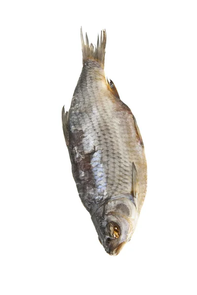 Fisch für Bier isoliert auf weißem Hintergrund — Stockfoto